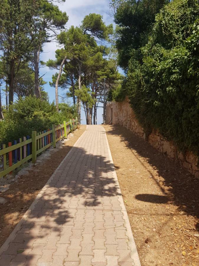 Apartment Zdenka Veli Lošinj Exterior foto